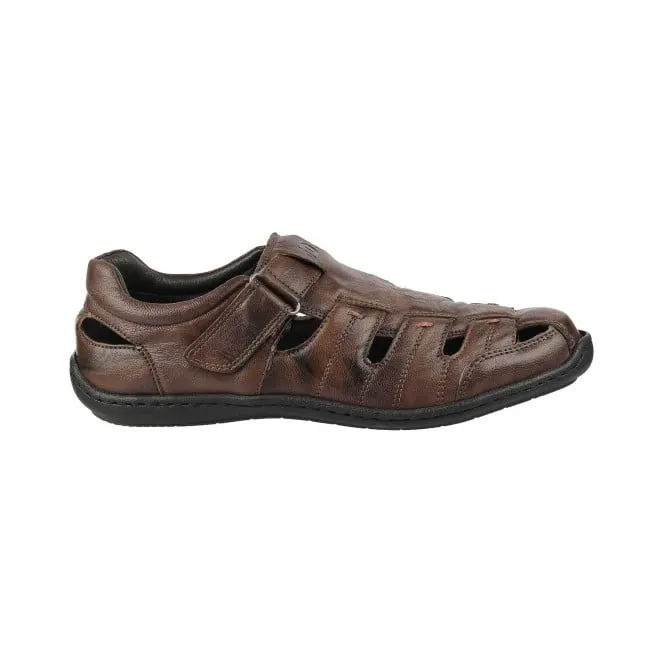 ID Men Brown Casual Sandals