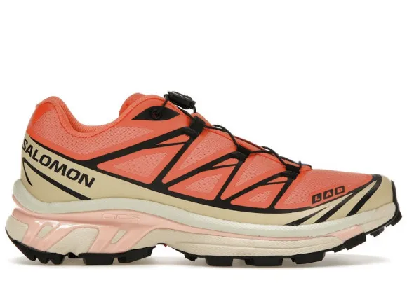 Salomon Xt-6